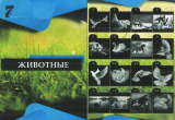 Животные