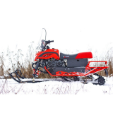 Снегоход Irbis Dingo T150 150сс 4т красный