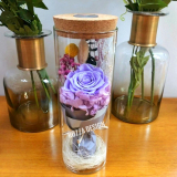 Фиолетовая роза в колбе с подсветкой на пульте 