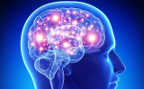 Лечение нарушения кровообращения головного мозга и его профилактика методом ВТЭС
