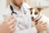 Вакцинация собак комплексная Нобивак