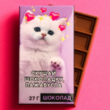Шоколад молочный Котик, 27 гр.