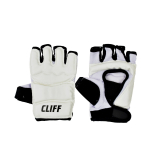 Перчатки для тхэквондо CLIFF белые