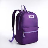 Рюкзак городской на молнии наружный карман фиолетовый 9875293